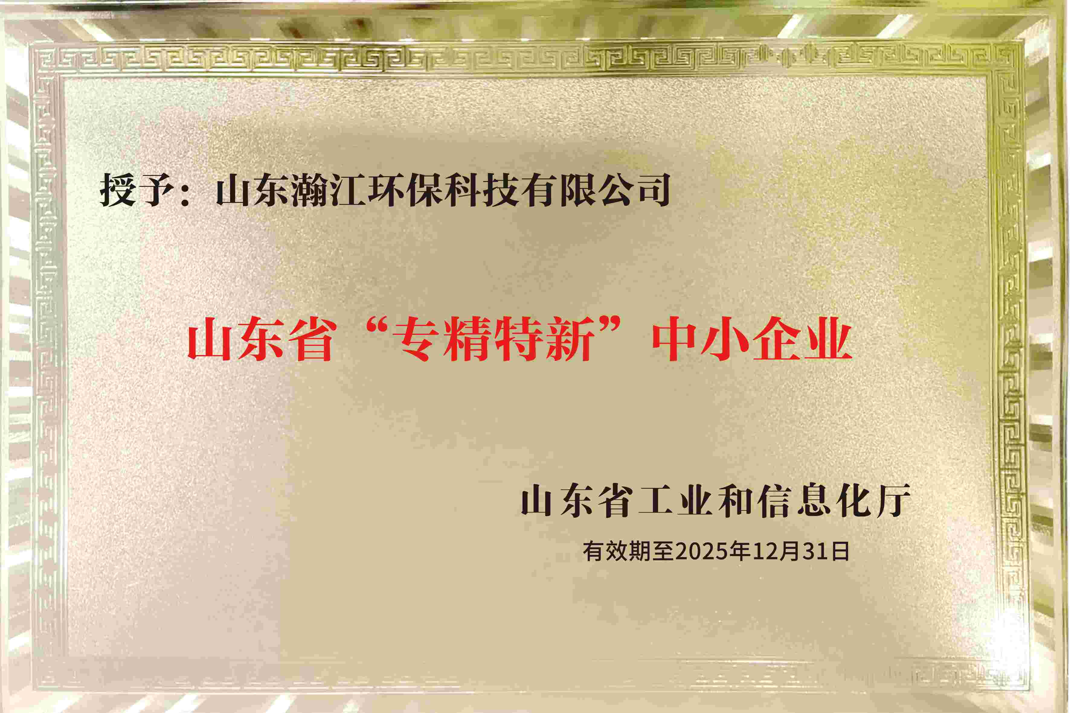 （山東省“專(zhuān)精特新”中小企業(yè)證書(shū)）.jpg